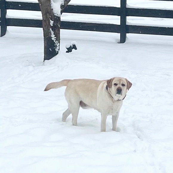 Meet your Posher, Pam - Picture 5 of 16